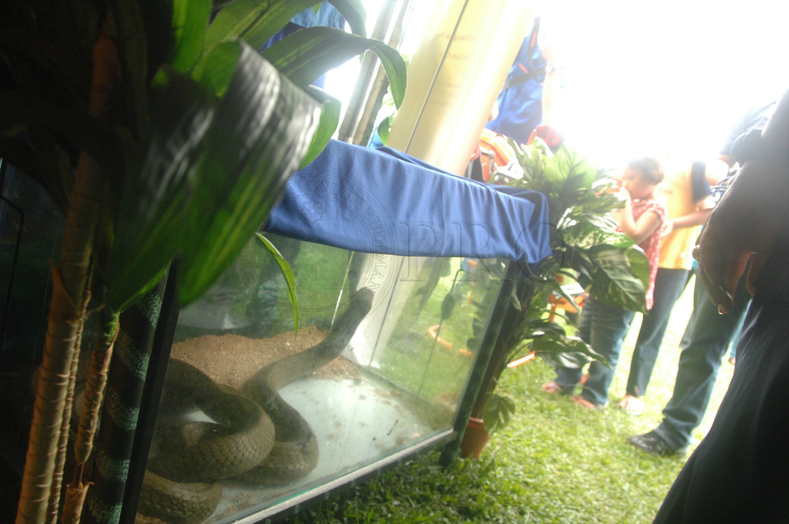 PRO 14 43 KKO IDA 1088